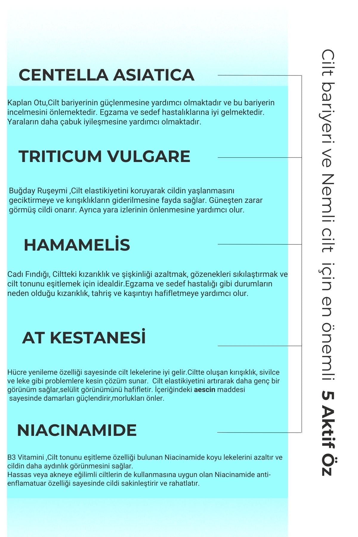 Prebiotic Soft Care Serum