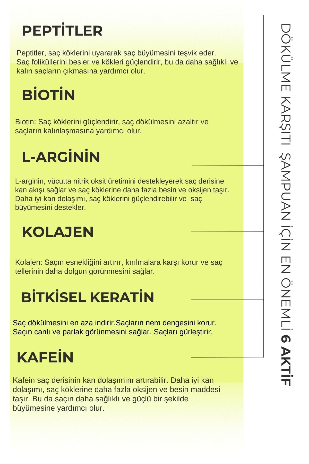 Dökülme Karşıtı Şampuan Biberiye Biotin Peptitli
