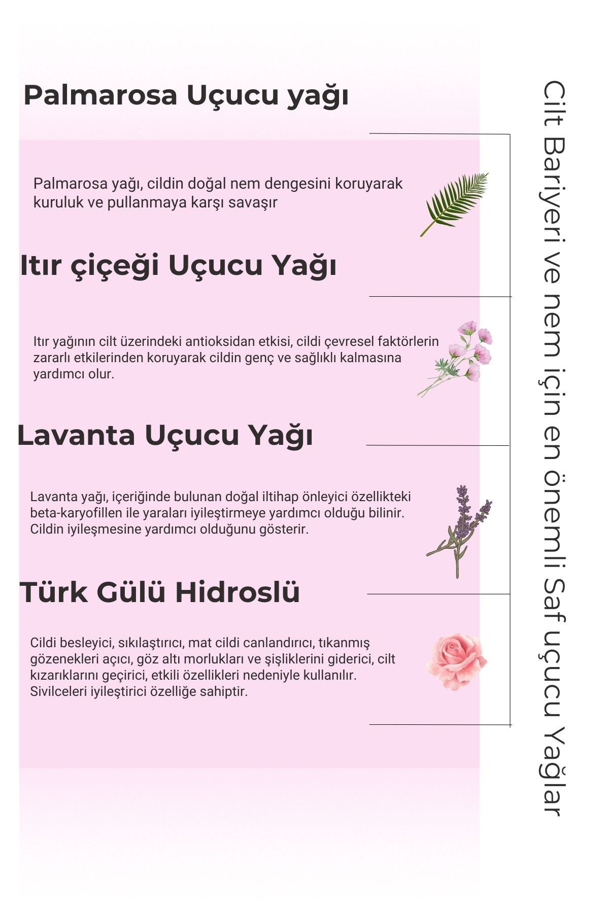 Prebiotic Soft Care Serum