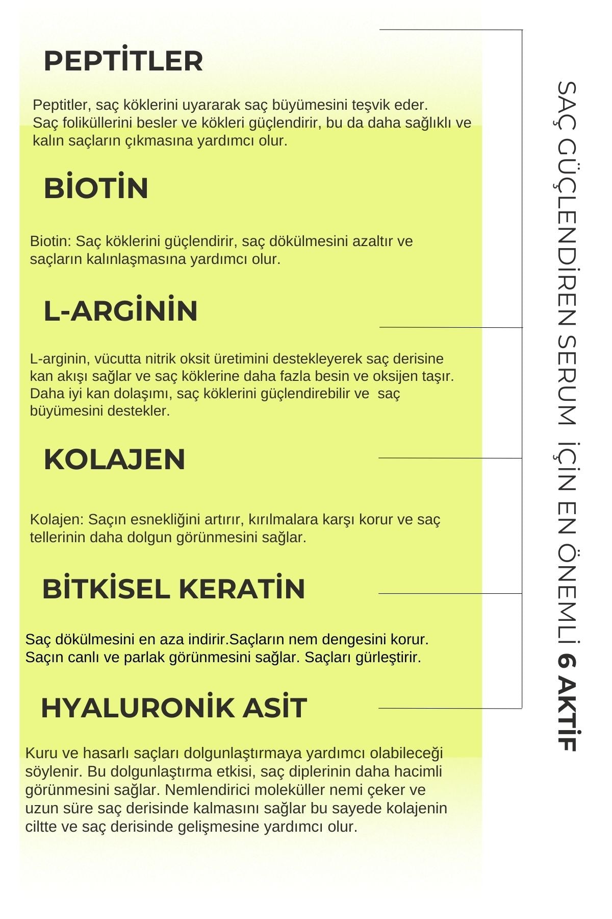 SAÇ PEPTİT BİOTİN BİBERİYE AKTİF SAÇ SERUM