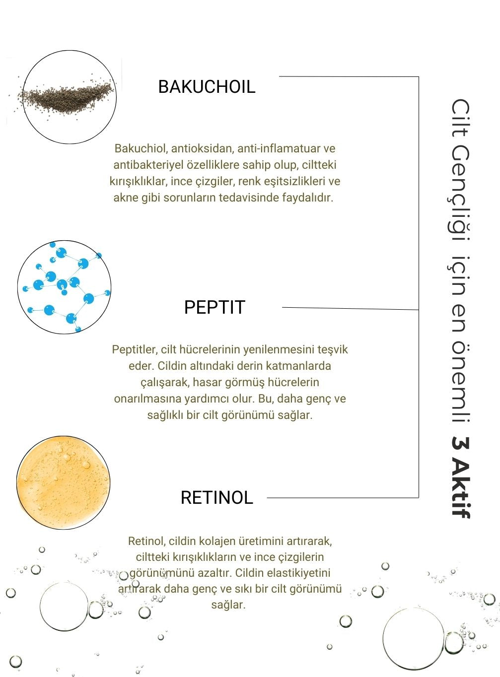 Renewal Yaşlanma KarşıtıSerum Retinol Peptit Bakuchoil, Reishi Mantarı Ginseng Geven