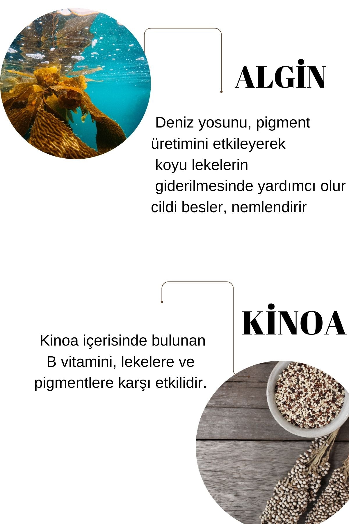 ALGİN &KİNOA MASK