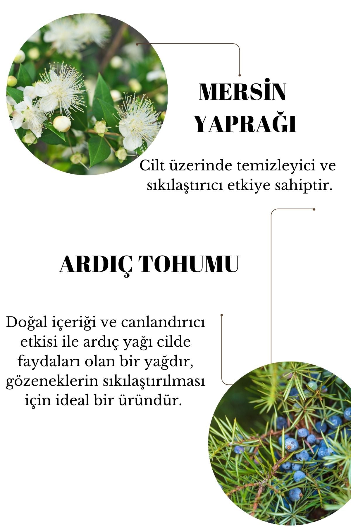 ALGİN &KİNOA MASK